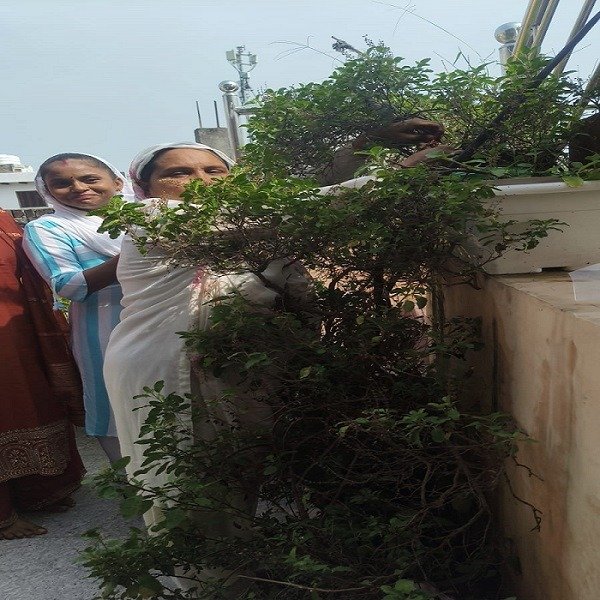 Environmental Protection