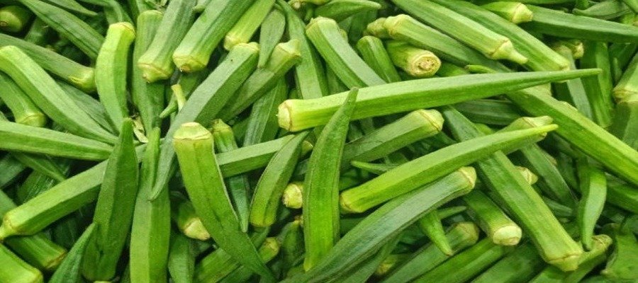 India Leads Global Okra Production